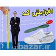 ژل افزایش قد بیتال Betall اصل