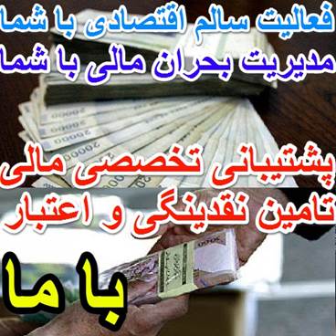 مشاورین مالی گروه سرمایه