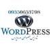 تدریس خصوصی  ورد پرس (WordPress)