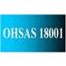 خدمات مشاوره استقرار سیستم مدیریت ایمنی و بهداشت شغلی   OHSAS18001:2007