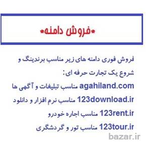 فروش دامین