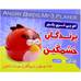 ام پی تری پلیر انگری بردز mp3 player Angry Birds