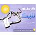 گردنبند لایک like اصل