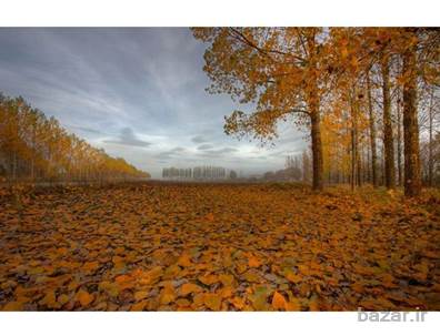 خریدار زمین و املاک در بهارستان