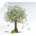 فروش زمین