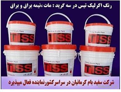 رنگ اکریلیک (داخلی و خارجی) Tiss Paint 780
